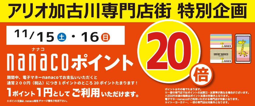 nanacoポイント20倍