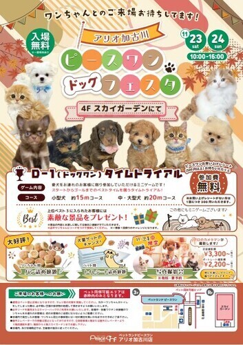 【ペットランドピースワン】11/23(土)、24(日)　2日間開催！『ピースワン主催 ドッグフェスタ』🐶