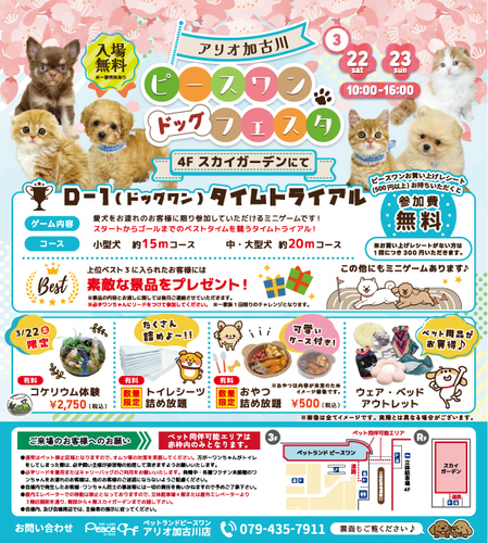 ドッグフェスタ