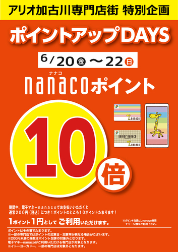 ポイント10倍