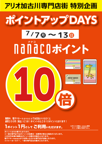ポイント10倍