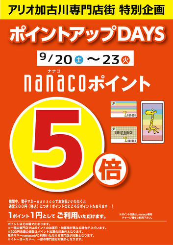 ポイント5倍