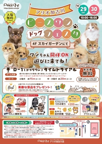 ドッグフェスタ