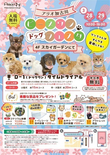 ドッグフェスタ