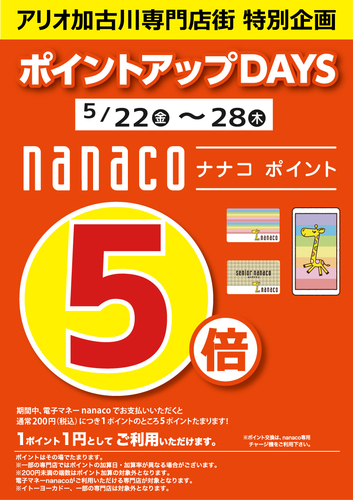 ポイント5倍