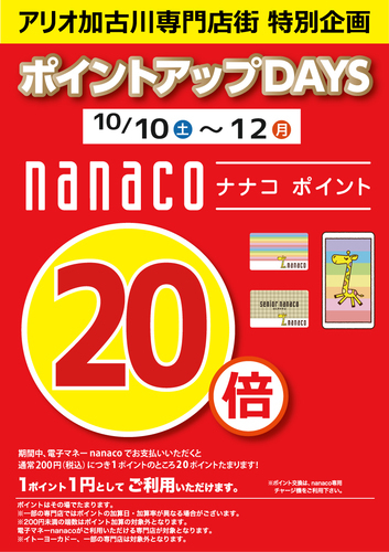 ポイント10倍
