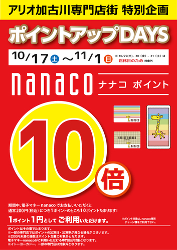 ポイント10倍